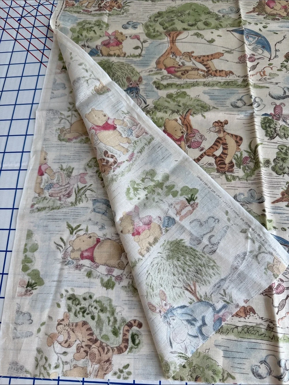Vintage Disney Winnie the Pooh Day in the Park Fabric Springs 2/3 Yard